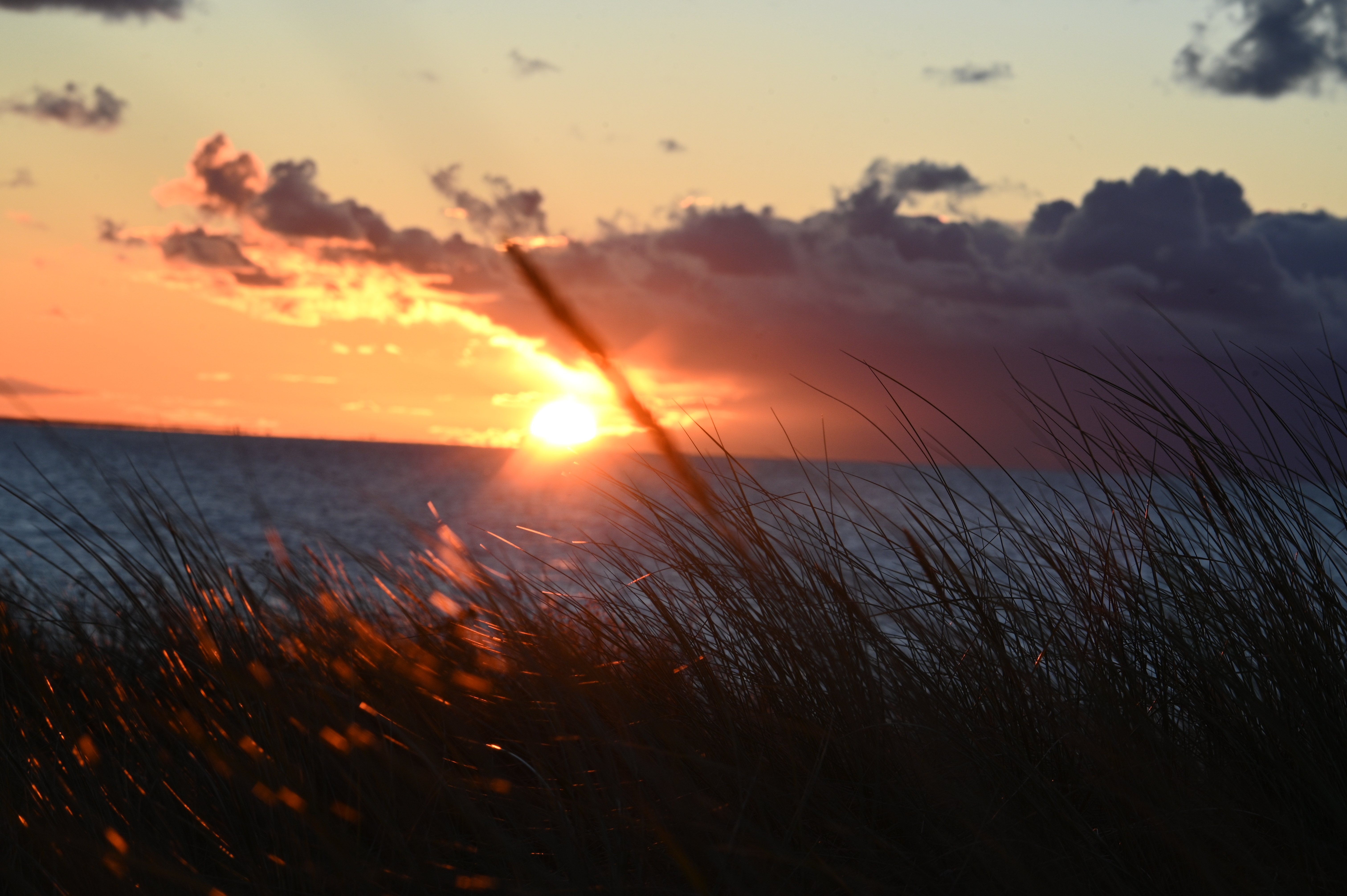 2025/10/18 - walk/DSC_0474.JPG